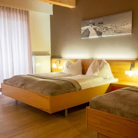 Auwirt Zentrum 4*